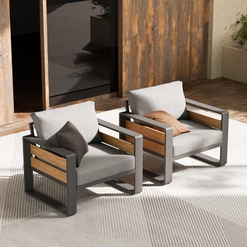 ZANDOR Aluminum Outdoor Patio Furniture - 2 Pcs Armchair